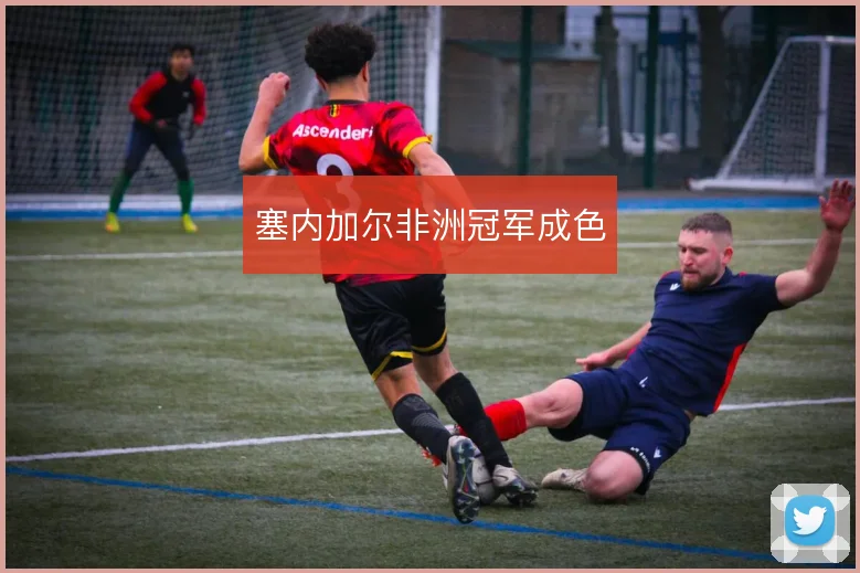 塞内加尔非洲冠军成色