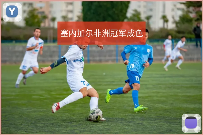 塞内加尔非洲冠军成色